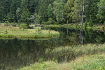 Kleiner Arbersee im Bayerischen Wald