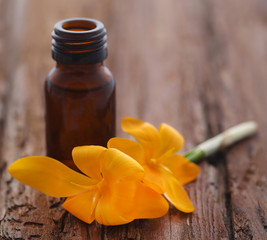 Yellow Crocus with essential oil