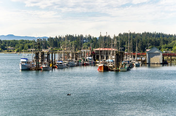 Fototapeta premium Fishing Harbour with on a Cloudy Summer Morning. Sooke, Bc, Canada.
