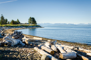 Deserted Beach overlooking Georgia Strait near Campbell River, Vancouver Island, Canada, on a Clear...