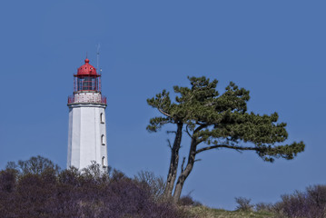 Leuchtturm Dornbusch