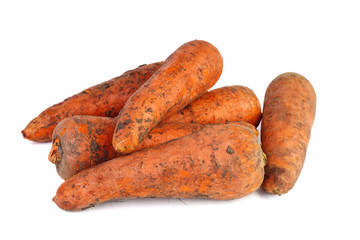 Raw dirty carrots