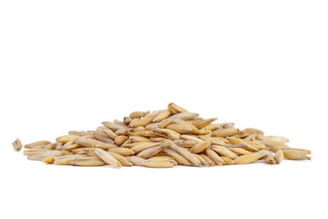 Small pile of unshelled oat seeds