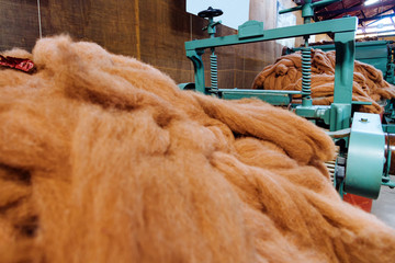 Old wool processing machines with lots of raw alpaca fiber