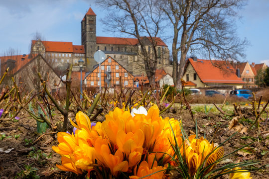 Blick auf das Quedlinburger Schloss im Fr&uuml;hling