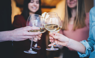 Happy friends cheering with glasses of white wine at home, group of people making a toast and celebrating anniversary, enjoyment and celebrating concept, lifestyle