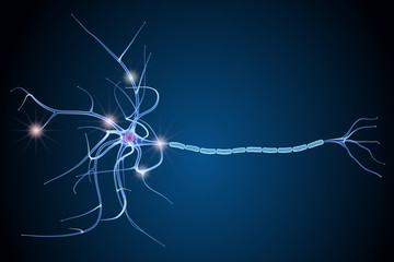 Nerve cell anatomy in details. 3D illustration