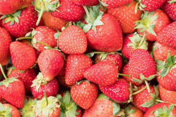 freshly ripe strawberries background