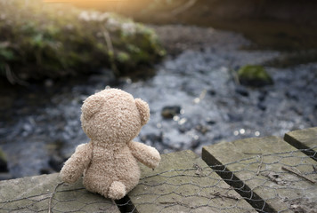 Rear view Teddy bear sitting on wooden bridge and looking at canal in evening. Lonely teddy sitting alone