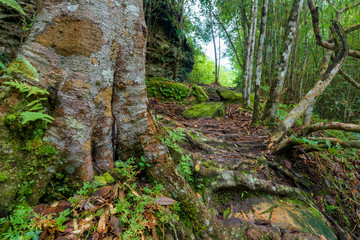 Fototapeta premium Beautiful landscape of walkway to hiking