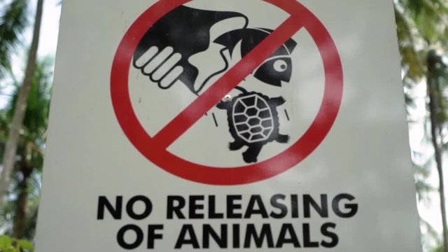Close up shot pushing in towards a No Releasing Animals sign at a park in Pulau Ubin in Singapore