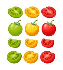 Set of hand drawn tomatoes. Branch, whole and slice.