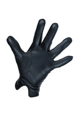 Palm in leather glove