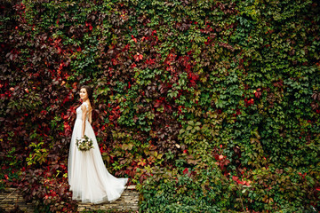 Elegant lady stands in a white lace dress between the walls of green and red ivy