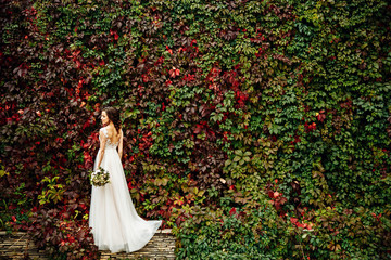 Obraz na płótnie Canvas bride posing in front ol old brick wall with ivy
