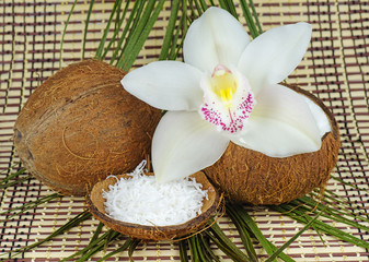 Whole coconut, grated and half