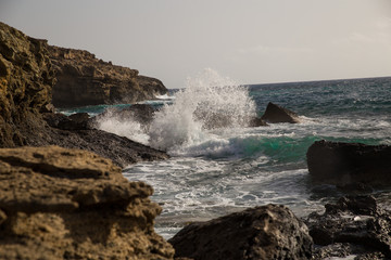 the solar panel for a campaign charges phone
