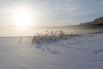 Morning in the winter