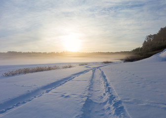 Fototapeta na wymiar Morning in the winter