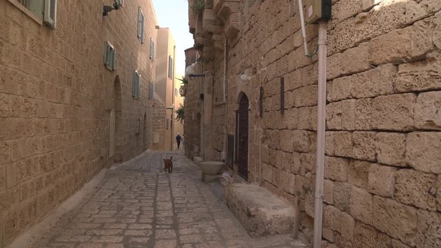 Stone buildings on a narrow street