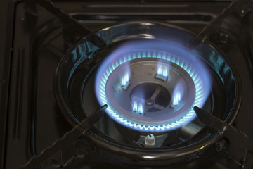 blue gas burns on the stove