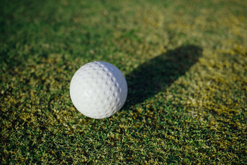 golf ball on green grass, closeup view