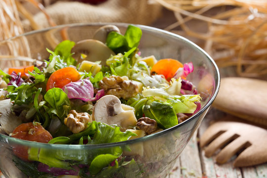 704 Best Salade Composee Images Stock Photos Vectors Adobe Stock