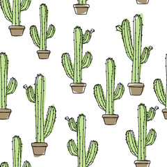 cactus illustration