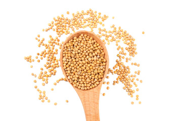 mustard seeds in wooden spoon isolated on white background. top view