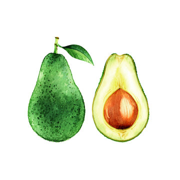 Isolated watercolor avocado on white background