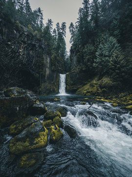 Powerfull waterfall dropping down a rockformation between pinetrees in rainforest near Oregon, USA