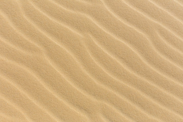 Fototapeta na wymiar Sand on the beach as background, Texture, Pattern