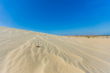 White sand dune in Mui Ne, Vietnam, Popular tourist attraction, Travel