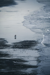 Couple of two people walking on wet black sand with refelction and calm waves near by in Washington, USA