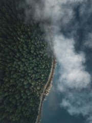 Aerial Photograph of green forest near a lake with leading road and fog from abive in oregon, USA