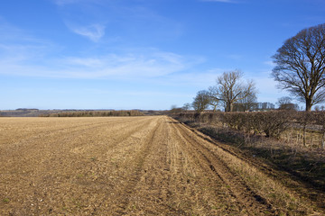 Fototapeta na wymiar winter agricultural farmland