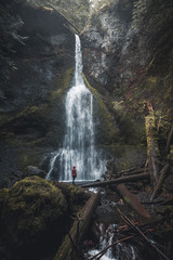 Person standing in front of a giant waterfall dropping from a ridge between pinetress in Oregon, USA