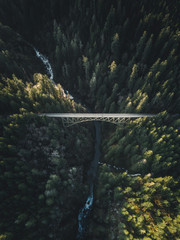Aerial photograph of high steel bridge crossing stream between green pinetrees with first morning light near Washington, USA