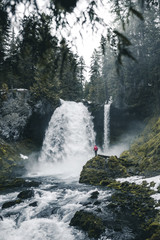 Person standing in front of a giant waterfall dropping from a ridge between pinetress in Oregon, USA