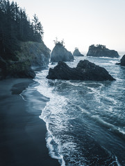 Aerial photograph of Oregon Coast beach with rock formations and pinetrees near Brookings, USA