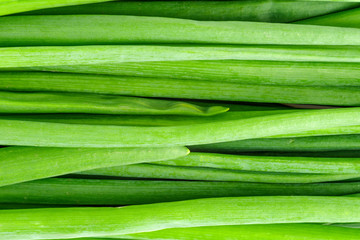 Green onion