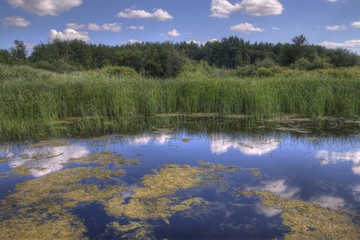 Zippel Bay State Park on Lake of the Woods, Minnesota