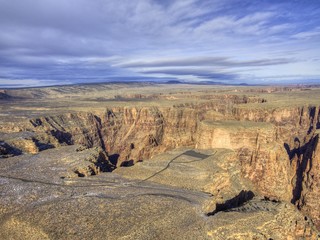 Arizona Desert in Wintertime