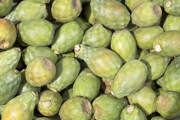 Fruit of the cactus - Opuntia ficus indica