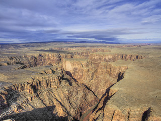 Arizona Desert in Wintertime