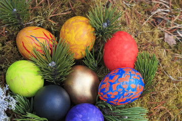 Painted eggs decorated in the moss.