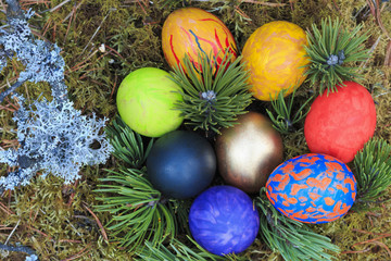Fototapeta na wymiar Painted eggs decorated in the moss.