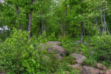 Banning State Park in Minnesota