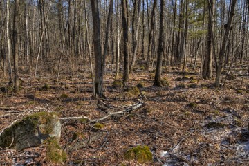 Banning State Park in Minnesota