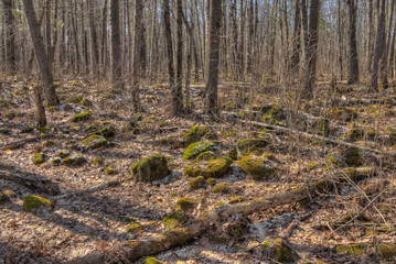 Banning State Park in Minnesota